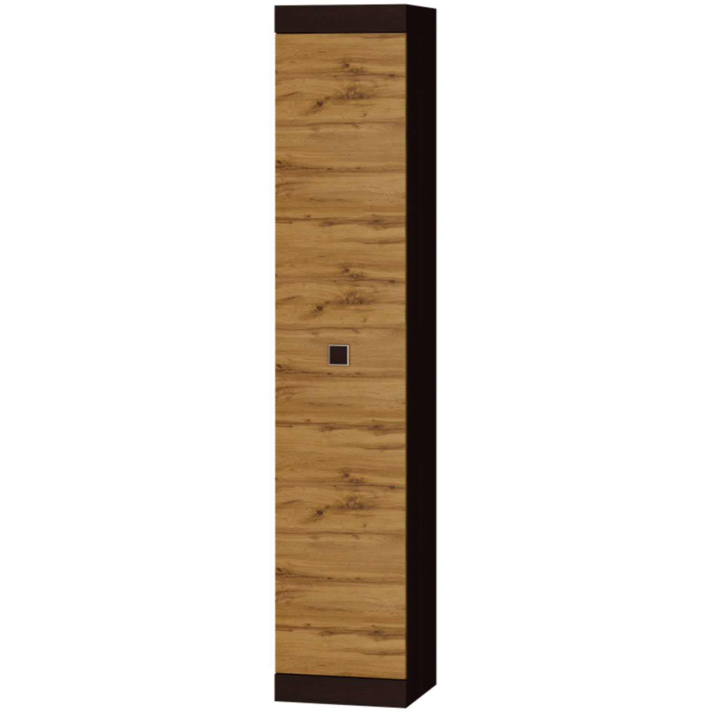 СОНАТА Пенал закрытый  (400*380*2050)