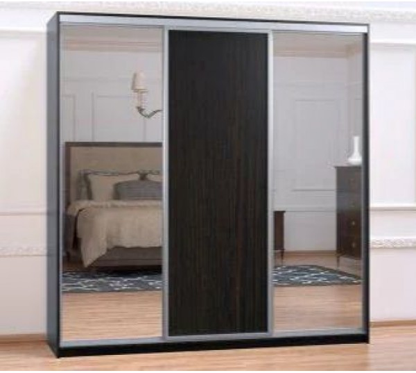 ШКАФ-КУПЕ  ШК-13/2100  220Х60Х210