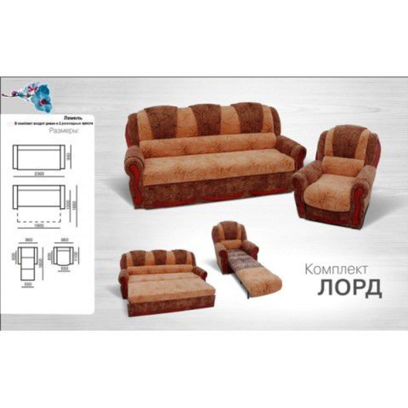 Лорд диван (ламель)