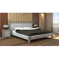 Ліжко Олександра ДСПЛ