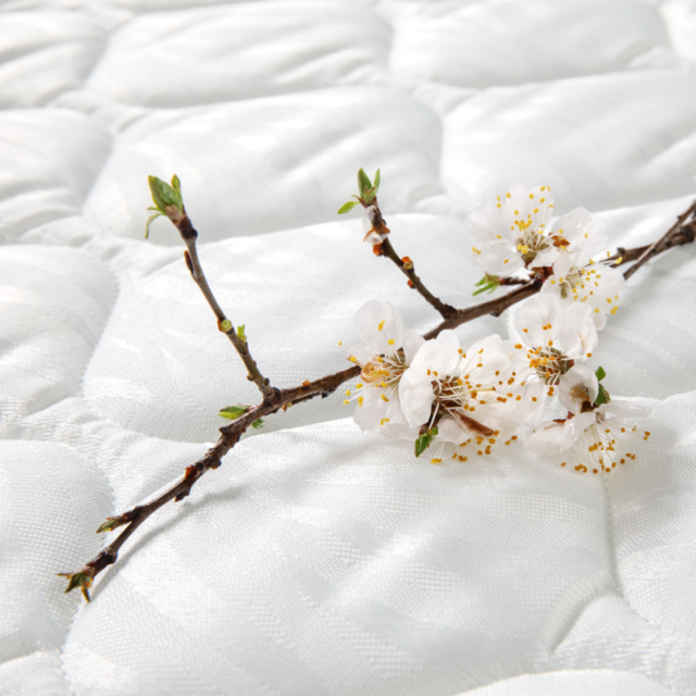 Матрас AVANTI / АВАНТИ