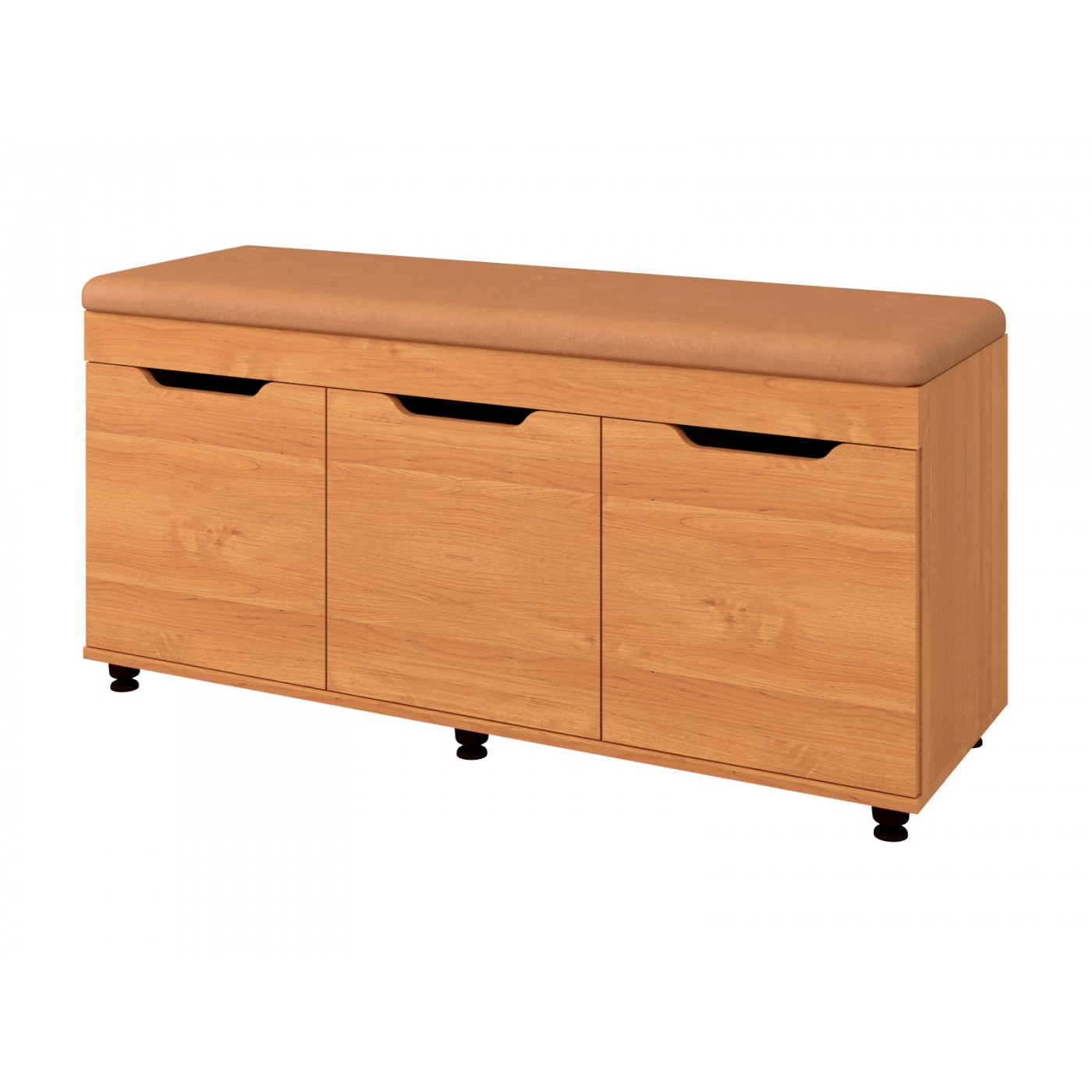 Б-6 тумба для взуття