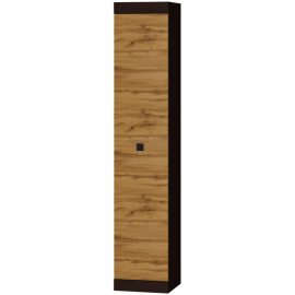 СОНАТА Пенал закрытый  (400*380*2050)