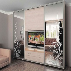 ШТВ 2 В-3 ( Платяной + TV + Полки ) Высота 2200