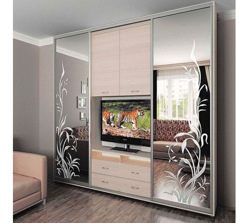 ШТВ 2 В-3 ( Платяной + TV + Полки ) Высота 2200