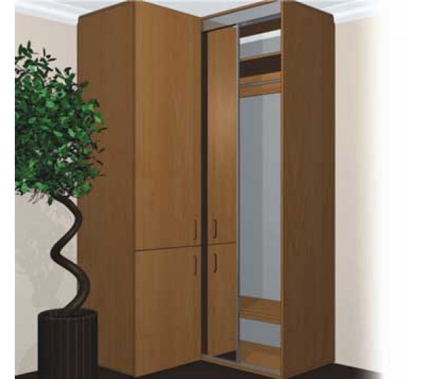 ШКАФ-КУПЕ с Пеналом П1 ШК + П1/2100 