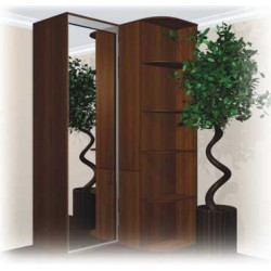 ШКАФ-КУПЕ с Пеналом ШК + П4/2100					