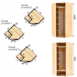 Шкаф угловой Распашной ( Петли, фасад ДСП ) (800x800x2200)