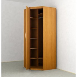 Шкаф угловой Распашной ( Петли, фасад ДСП ) (800x800x2400)