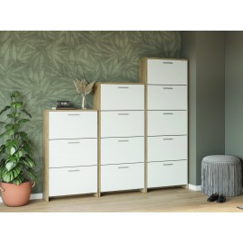 Тумба для взуття Рене 4Д (артизан/німфе альба)